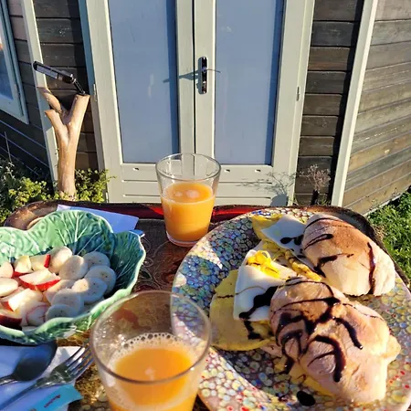 The Vie Llage - Authorial