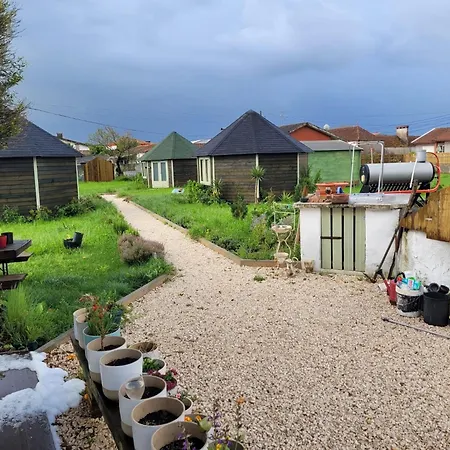 The Vie Llage - Authorial 3*