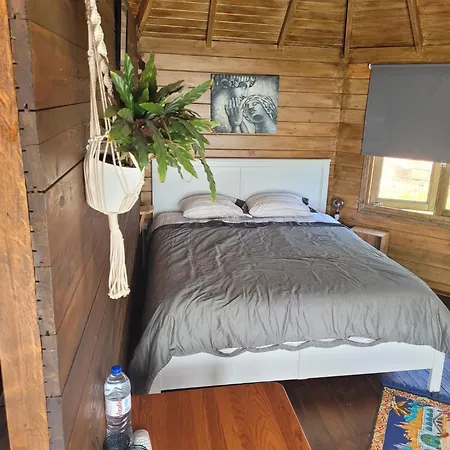 The Vie Llage - Authorial Affittacamere Vagos