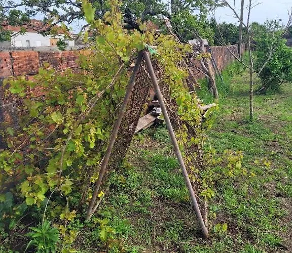 The Vie Llage - Authorial 3* فاغوس